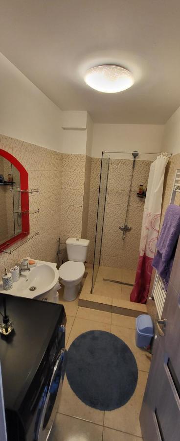 Self Check-In Studio 22 Bulevardul Oltenia Craiova Exterior photo